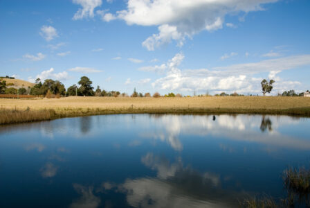 Pond Renovation Image